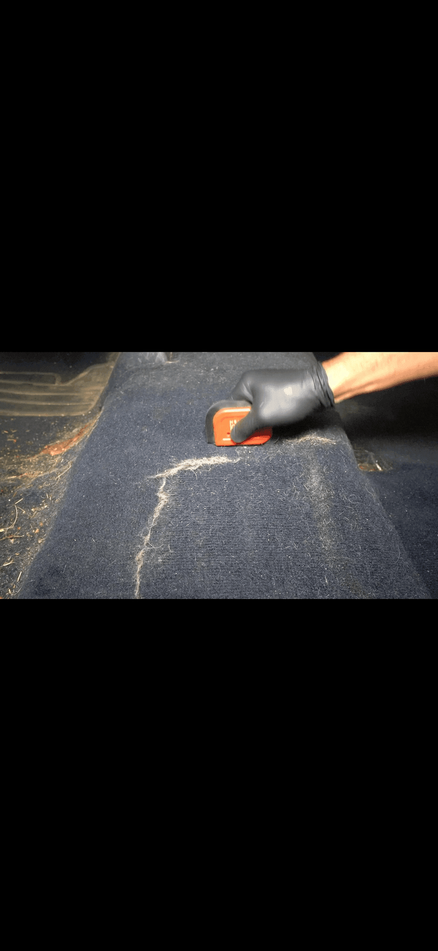 auto detailing employee removing dog hair in the interior of a car