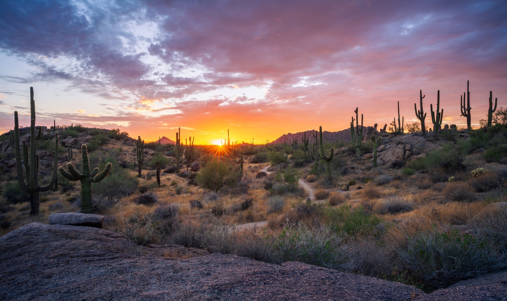 The fiery hues of a brilliant sunset paint the sky in the Sonoran Desert Landscape at Granite Mountain in Scottsdale, AZ